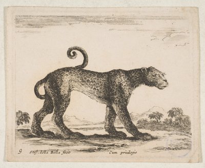 Placa 9: leopardo, de 