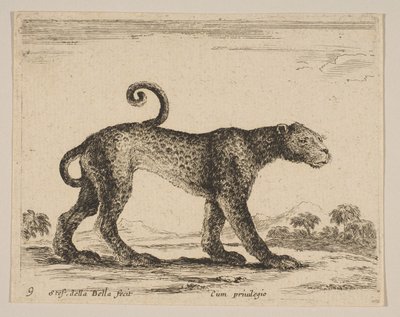 Placa 9: leopardo, de Diversos animales Diversi animali de Stefano della Bella
