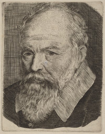 Retrato de un hombre de Stefano della Bella