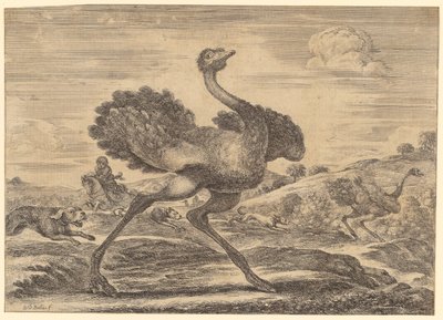 Caza de avestruces de Stefano della Bella