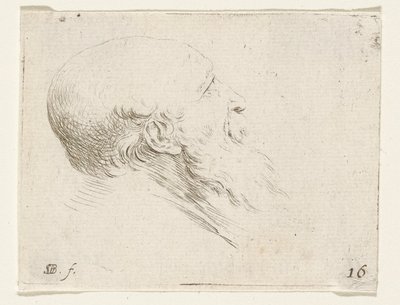 Cabeza de un anciano calvo de Stefano della Bella