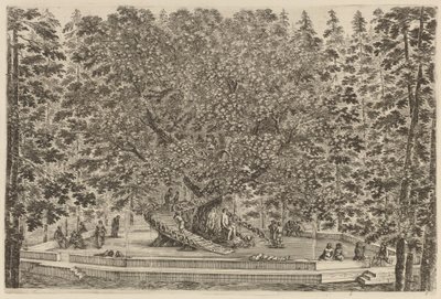El árbol habitado, probablemente 1653 de Stefano della Bella