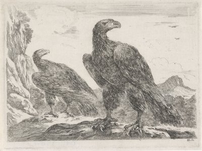 Dos águilas con la cabeza hacia la derecha
Eagles (título de la serie) de Stefano della Bella
