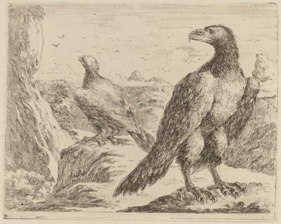 Dos águilas, ambas con la cabeza girada a la izquierda de Stefano della Bella