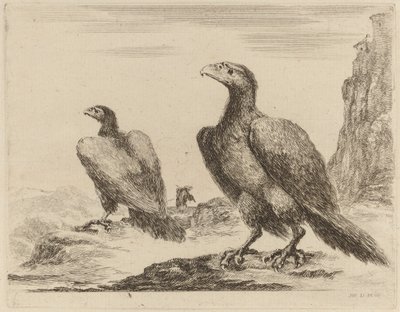 Dos águilas, ambas con la cabeza girada a la izquierda, en un acantilado alto de Stefano della Bella