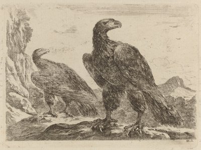 Dos águilas, ambas con la cabeza girada a la derecha de Stefano della Bella