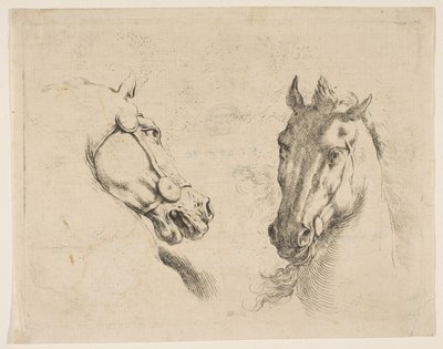 Dos cabezas de caballo, ca. 1649 de Stefano della Bella
