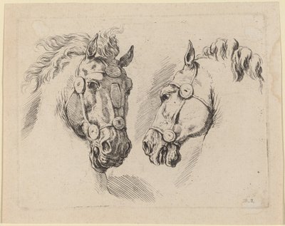 Dos cabezas de caballo, probablemente 1649 de Stefano della Bella