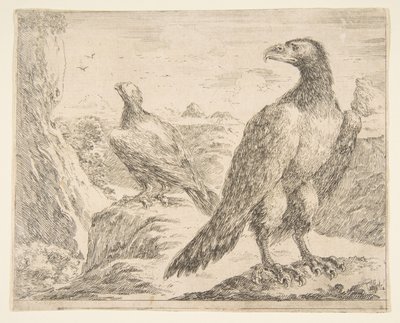 Dos águilas, de Águilas Les aigles de Stefano della Bella