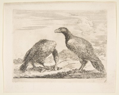 Dos águilas, una devorando un cordero, de Águilas Les aigles, ca. 1651 de Stefano della Bella