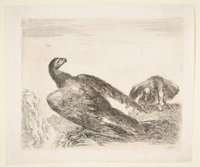 Dos águilas, una con presa, de Águilas Les aigles, ca. 1651. de Stefano della Bella