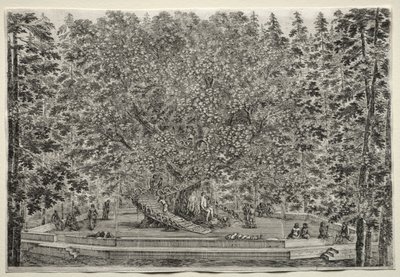 Views of the Villa of Pratolino:  The Inhabited Tree de Stefano della Bella