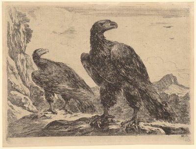  de Stefano della Bella