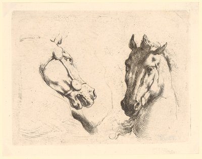 Dos cabezas de caballo, lámina 1 de la serie «Diversas cabezas de animales» de Stefano della Bella