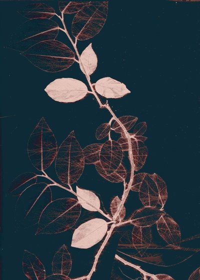 Freyr VII Cobre oscuro, 2018 (digital) de Stephen Dow