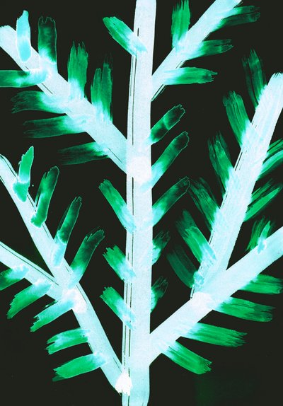 Hiver II, 2017 (digital) de Stephen Dow