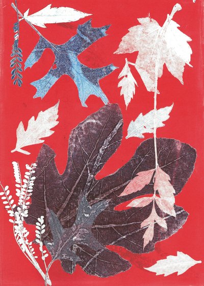 Jol XII, 2017 (monocopia sobre papel) de Stephen Dow
