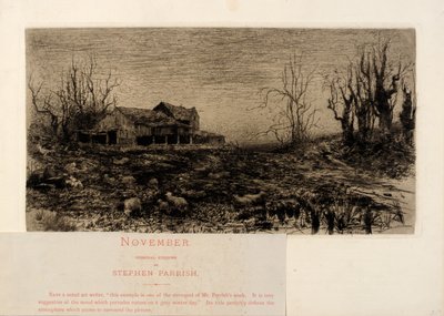 Noviembre de Stephen Parrish