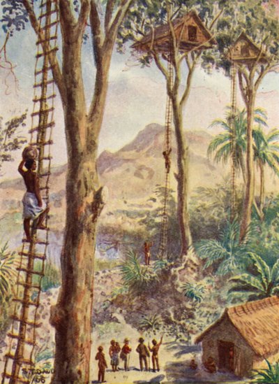 Ilustración de la vida del obispo Patteson (litografía en color) de Stephen T. Dadd