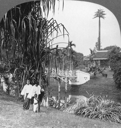 Una mirada a los jardines tropicales de Rangún, Birmania, 1908 de Stereo Travel Co