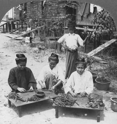 Fabricando los enormes cigarros fumados por mujeres, Birmania, 1908 de Stereo Travel Co