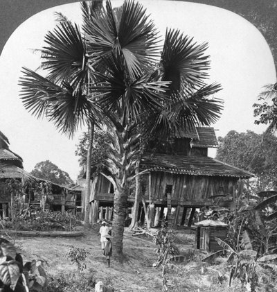 Casa nativa construida sobre pilotes, Bhamo, Birmania, 1908 de Stereo Travel Co