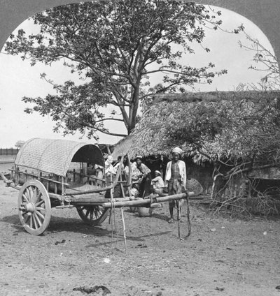 Casa de pueblo construida de bambú y hojas, Birmania, 1908 de Stereo Travel Co