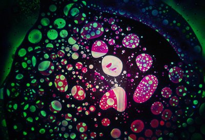 Aceites oscuros, 2024 de Steve Pavlovsky