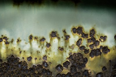 Verde oxidado desgastado de Studio Meikle