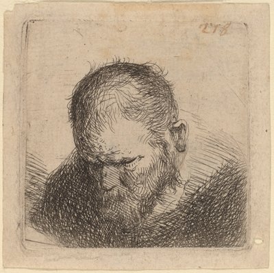 Hombre barbudo mirando hacia abajo de Studio of Rembrandt van Rijn