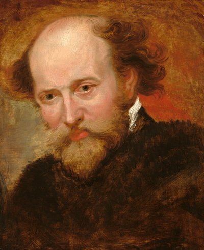 Peter Paul Rubens de Studio of Sir Peter Paul Rubens