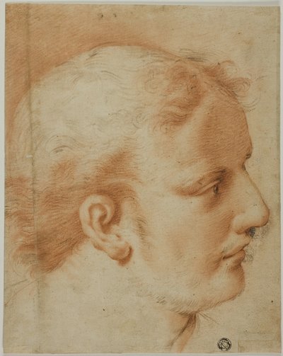 Cabeza de hombre joven, de perfil a la derecha de Style of Benedetto Luti