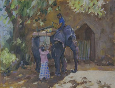 Elefante, Sri Lanka de Sue Wales