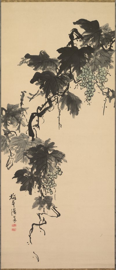 Grapes de Sugai Baikan