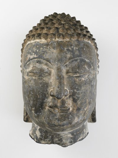 Cabeza colosal de Buda de Sui Dynasty Chinese School