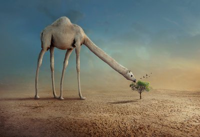  de Sulaiman Almawash
