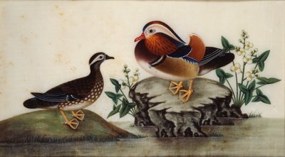 Dos patos y plantas acuáticas floreciendo junto a un estanque, finales del siglo XIX de Sunqua