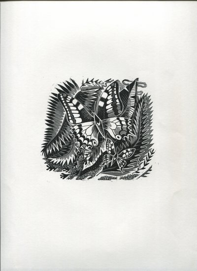 Mariposas tropicales (grabado en madera) de Suzanne Cooper