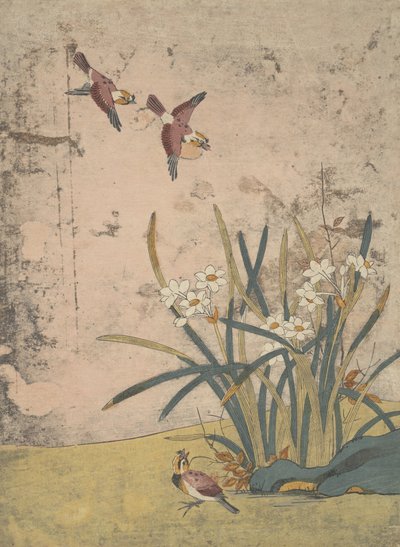 Pájaros y narcisos de Suzuki Harunobu