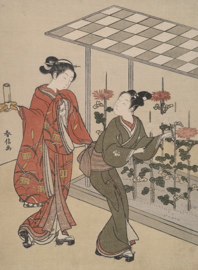 Visualización de crisantemos de Suzuki Harunobu