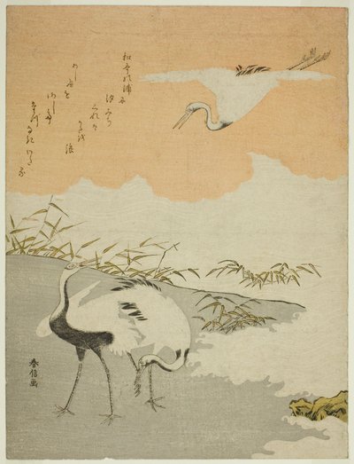Grullas en la orilla del mar de Suzuki Harunobu
