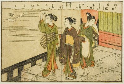 Ilustración de Doble Página del Vol. 2 de "Libro de Imágenes de Brocados de Primavera (Ehon haru no nishiki)" de Suzuki Harunobu
