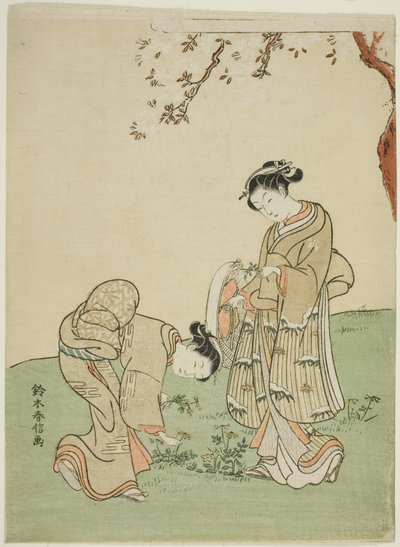 Recogiendo flores de primavera de Suzuki Harunobu