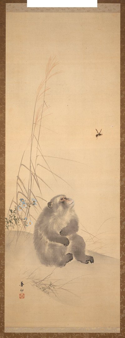 Tú de Suzuki Kason