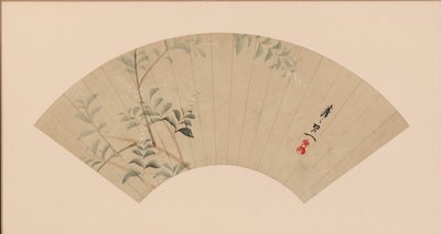 Trébol de arbusto de Suzuki Kiitsu