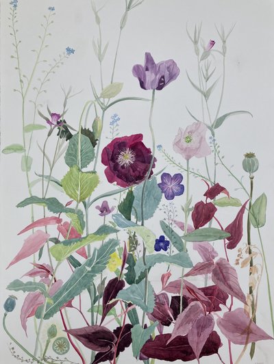  de Suzy Fasht