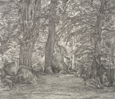 Paisaje forestal de Falster de Svend Hammershøi