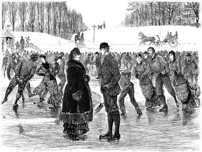 Modesta seguridad, 1879 de Swain