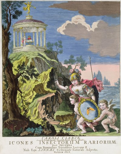 Portada de Icones Insectorum Rariorum por C. Clerck, Suecia, 1764 de Swedish School