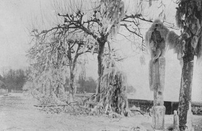 En Paquis en Ginebra, Invierno 1896 de Swiss Photographer